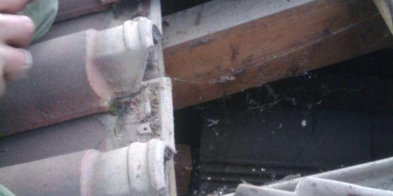 Castelletto sopra ticino (NO)